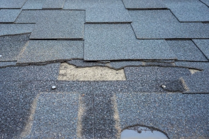 Why Replacing Your Roof Before Winter Is an Excellent Idea (and Why Procrastinating Is a Risk You Can’t Afford)