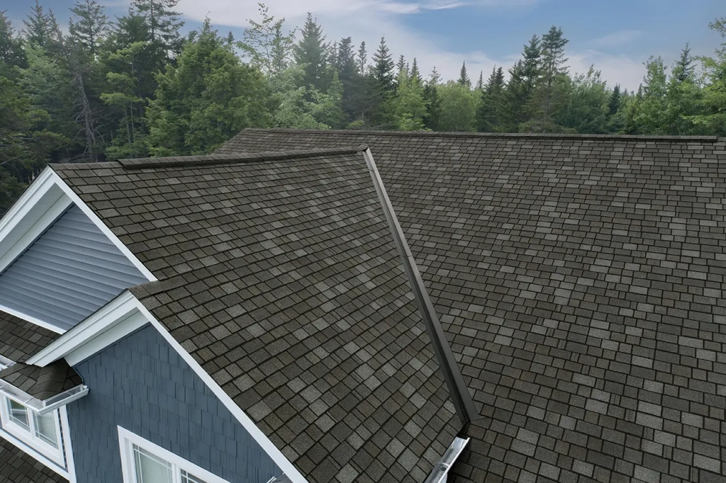 Close-up view of asphalt shingle roofing system installed by Plainfield roofing contractor