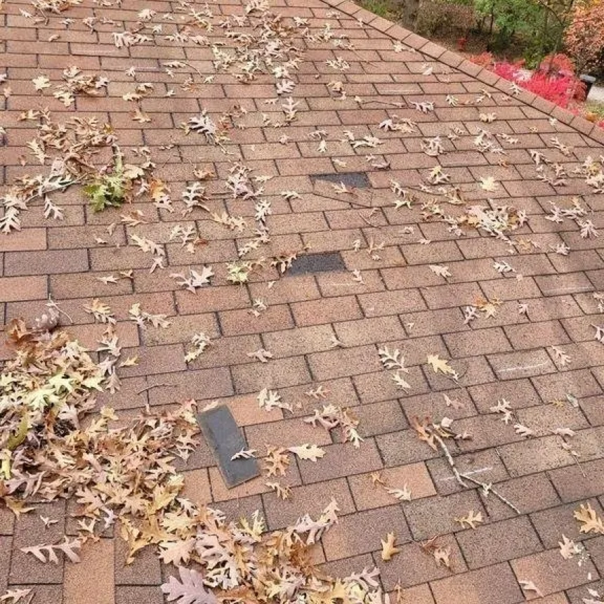 roof damage repair, wind damage to roof