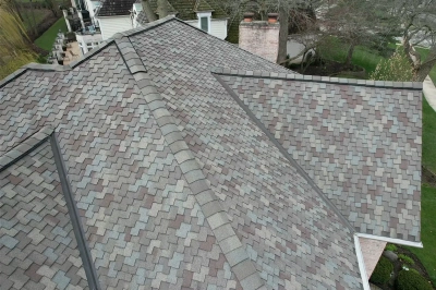 Presidential TL Shingles