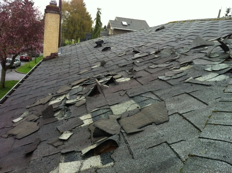 Roof Repair 1