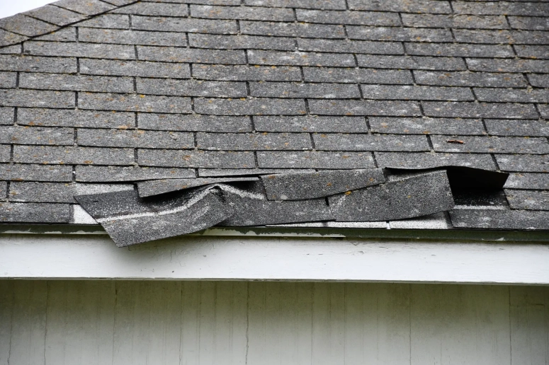 Roof Repair 2